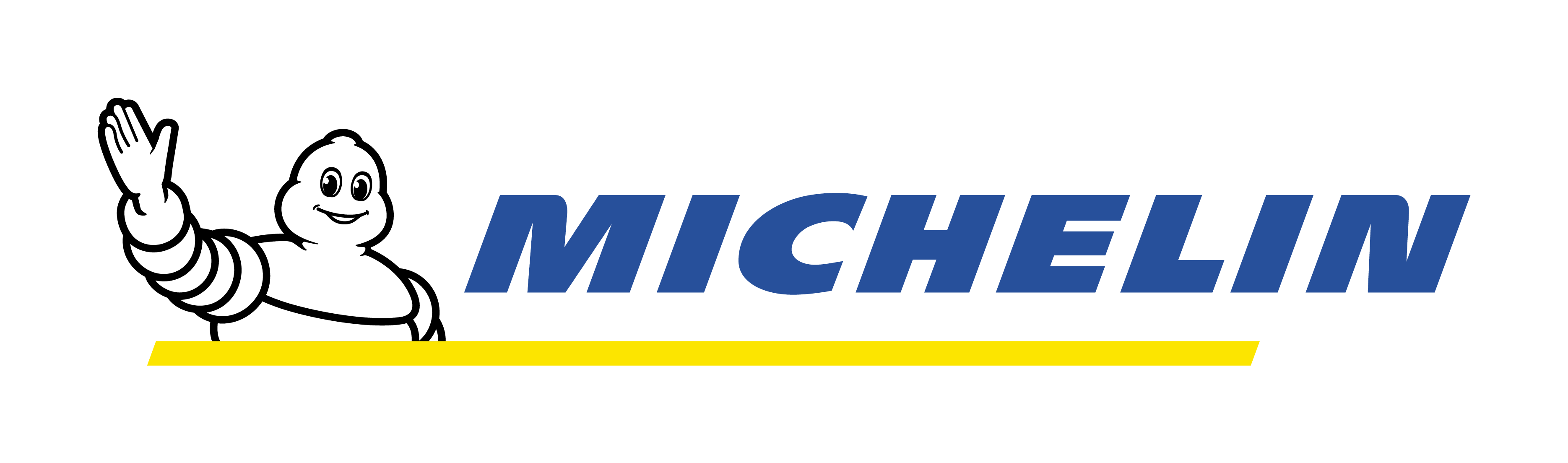Michelin Lastik